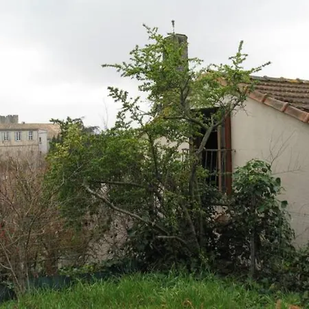 Le Figuier Tatil Evi Carcassonne