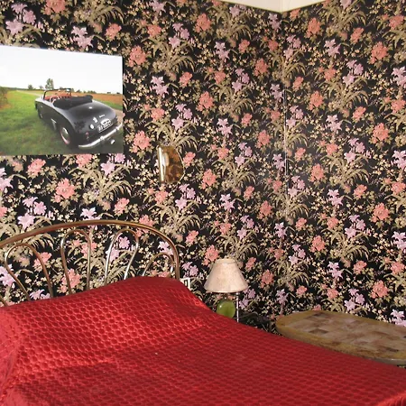 Le Figuier Tatil Evi *