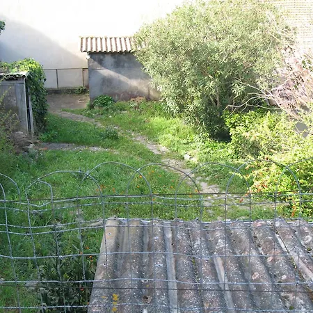 Le Figuier Tatil Evi Carcassonne