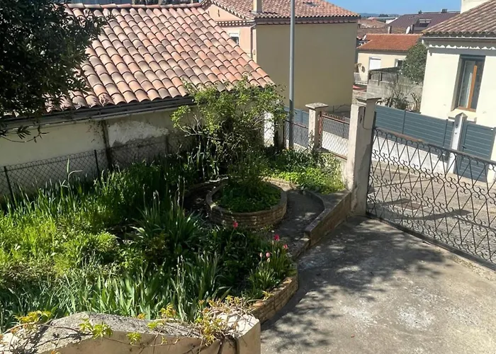 Le Figuier